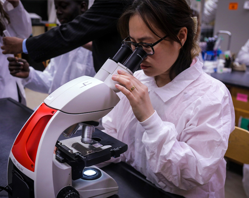 female student looking thru a microscope