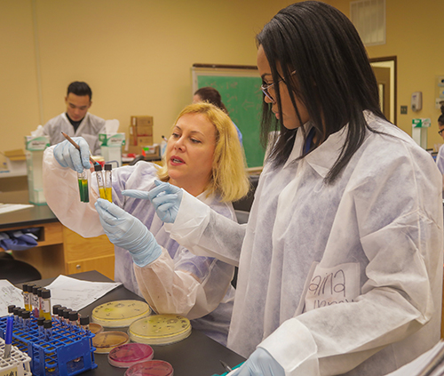 students looking at tubes filled with fluid