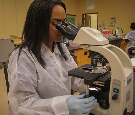 student using a microscope to view a sample