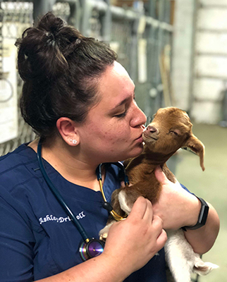 two vet techs examing a dog