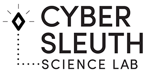 cyber sleuth logo