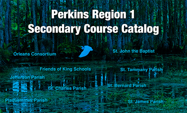 swamp graphic with text and link to the secondary course catalog