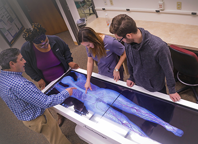 healthcare student at an Anatomage table