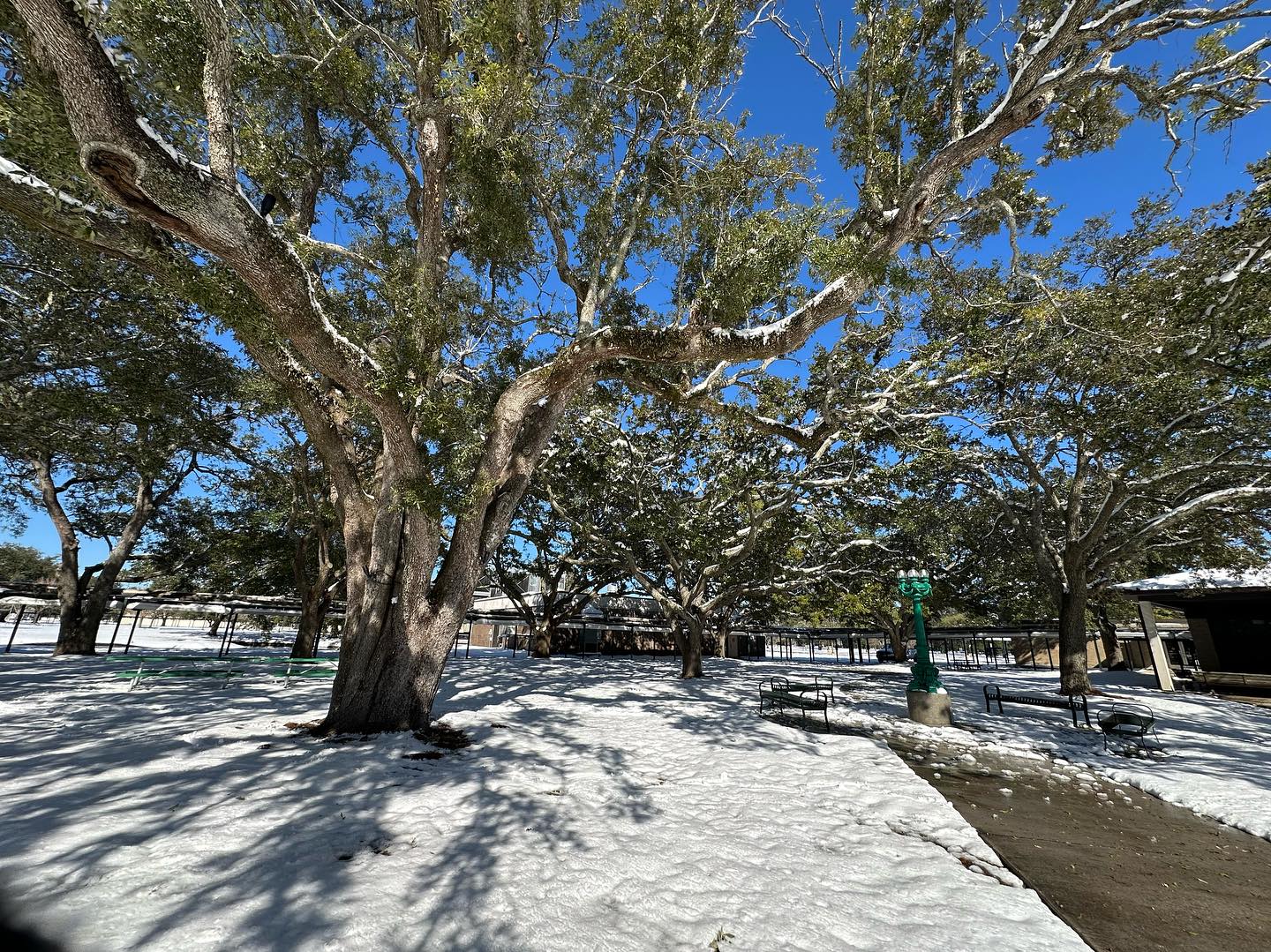 City Park Campus quad with snow